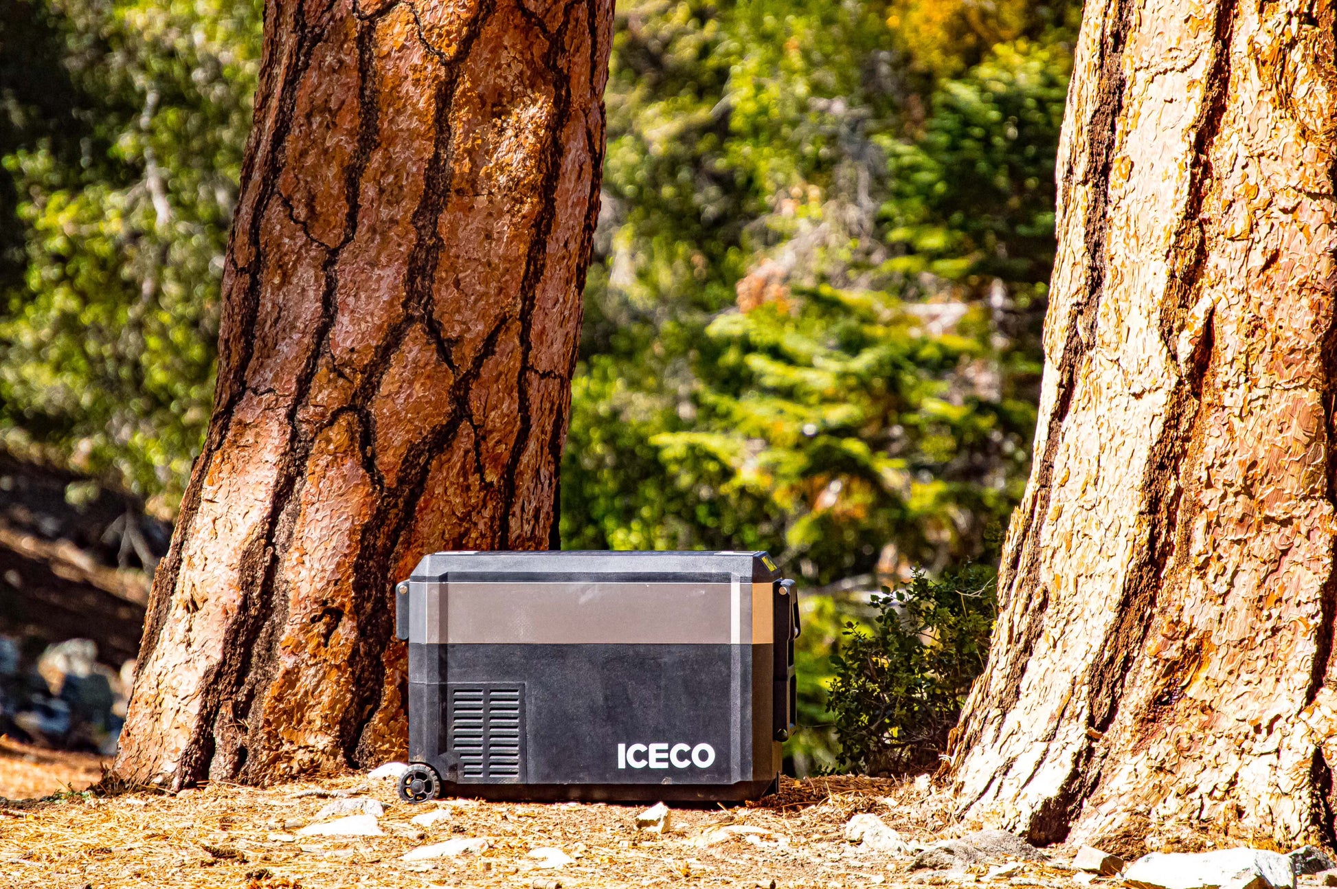 Réfrigérateur Congélateur ICECO JP40 PROS - SINGLE ZONE 40L sur Xperts4x4 Accessoires 4x4 Off-Road