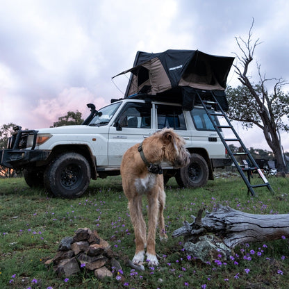 Tente de toit Rigide 2100 x 1300mm | RHINORACK sur Xperts4x4 Accessoires 4x4 Off-Road